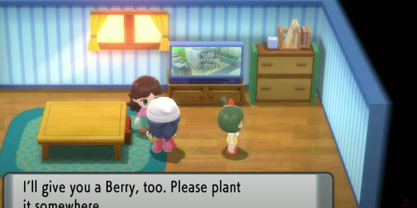 Pokemon Brilliant Diamond and Shining Pearl Pastoria City daily berry location