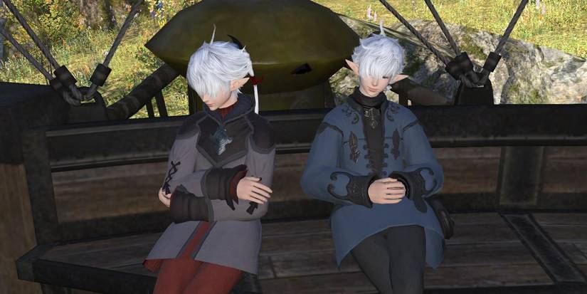 Alisaie and Alphanaud sleeping in carriage. 