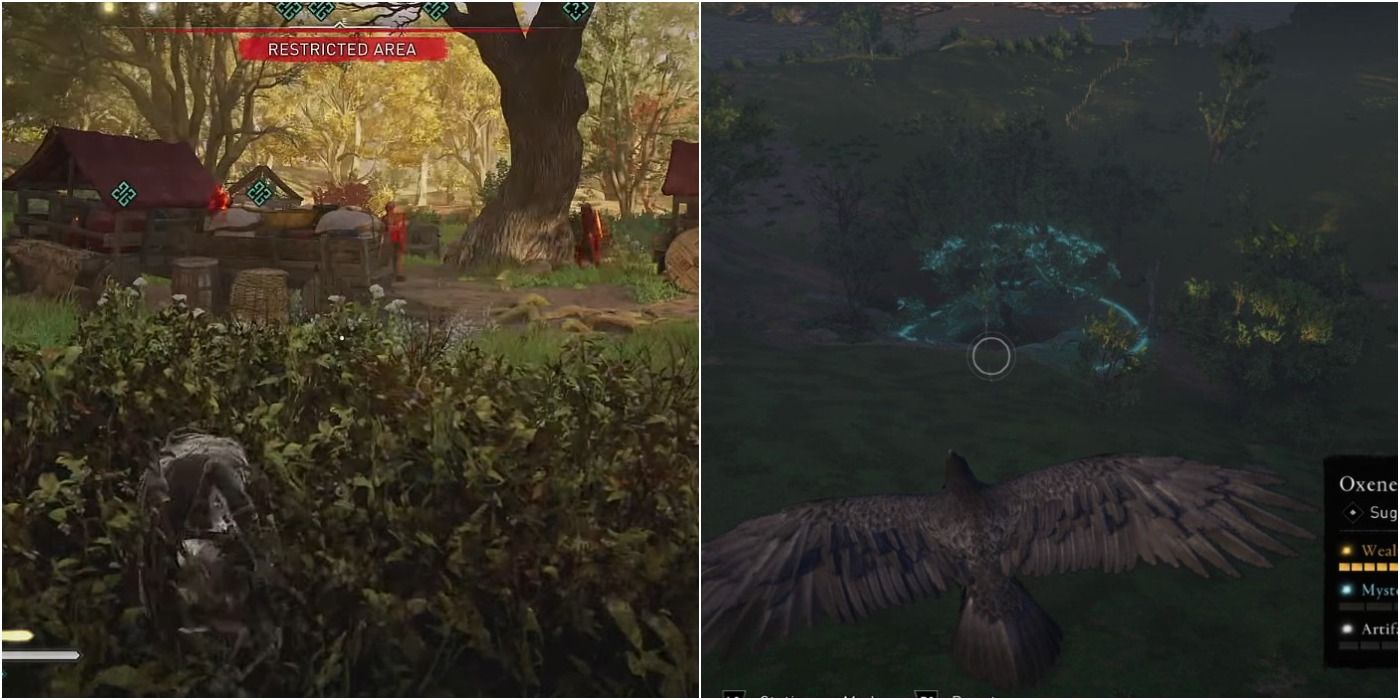Assassins Creed Valhalla split image of Eivor crouching in bushes near guards and Raven flying