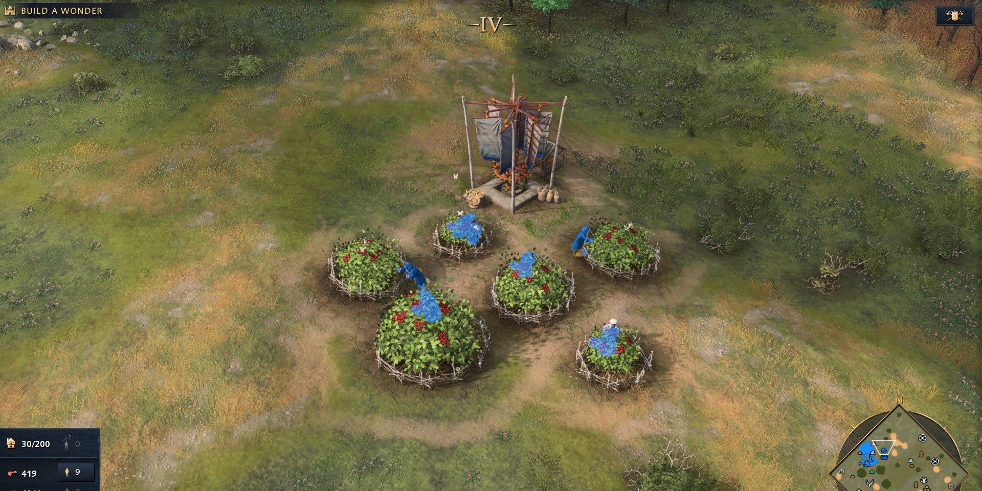 Berry Collection In Age Of Empires 4