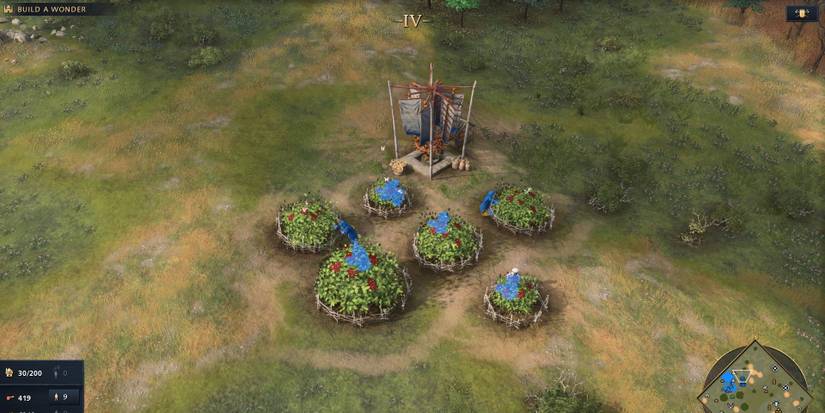 Berry Collection In Age Of Empires 4