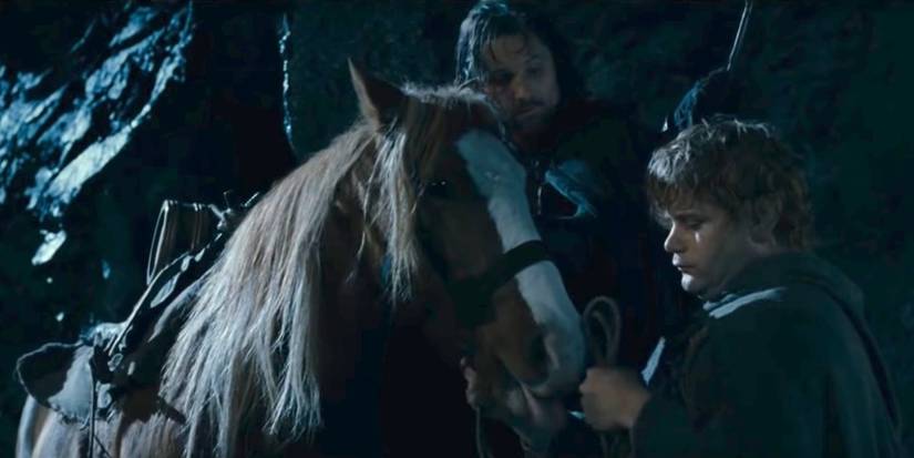 Bill the pony lotr Cropped