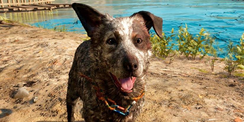Far Cry 6 Boom Boom Smiling In The Sun By A Beach