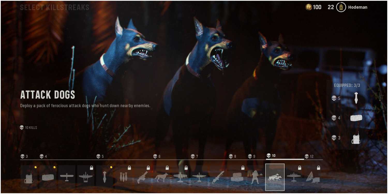 Enemy Dogs Cod One Call of Duty Series is Likely Dead and Gone, But Its Best Idea ...