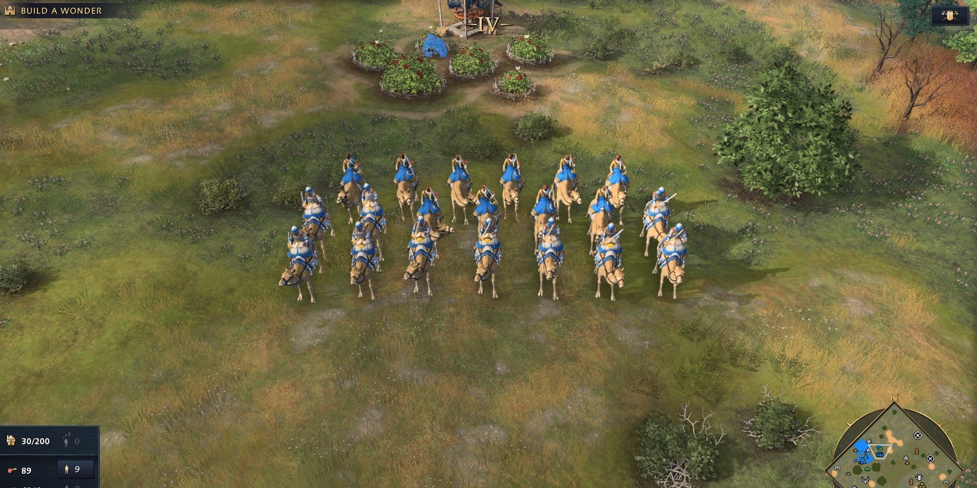 Camel Archers and Riders From Age Of Empires 4