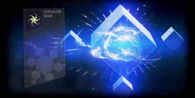 Cephalon Suda in warframe