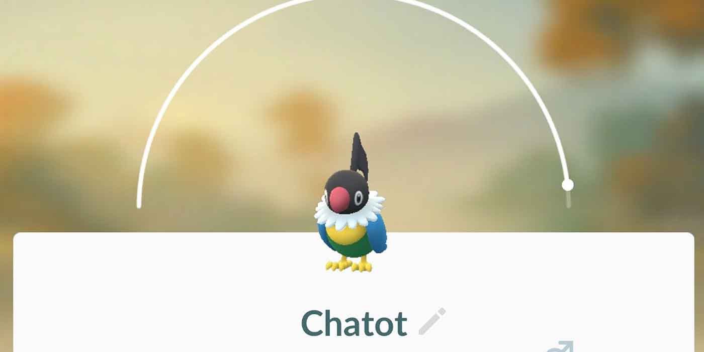 Chatot is a Flying Normal type Pokemon in Pokemon GO