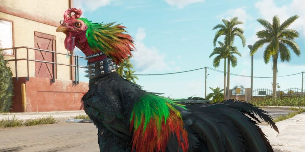 Far Cry 6 rooster amigo Chicharron ready to fight