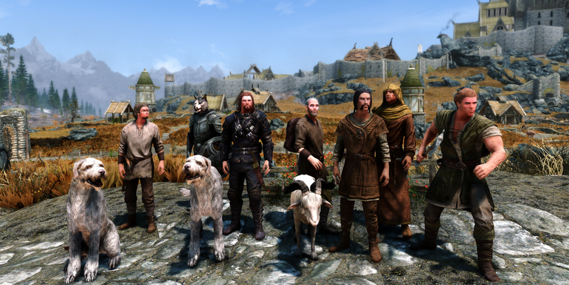 Complete Guide To Skyrim Hub Followers