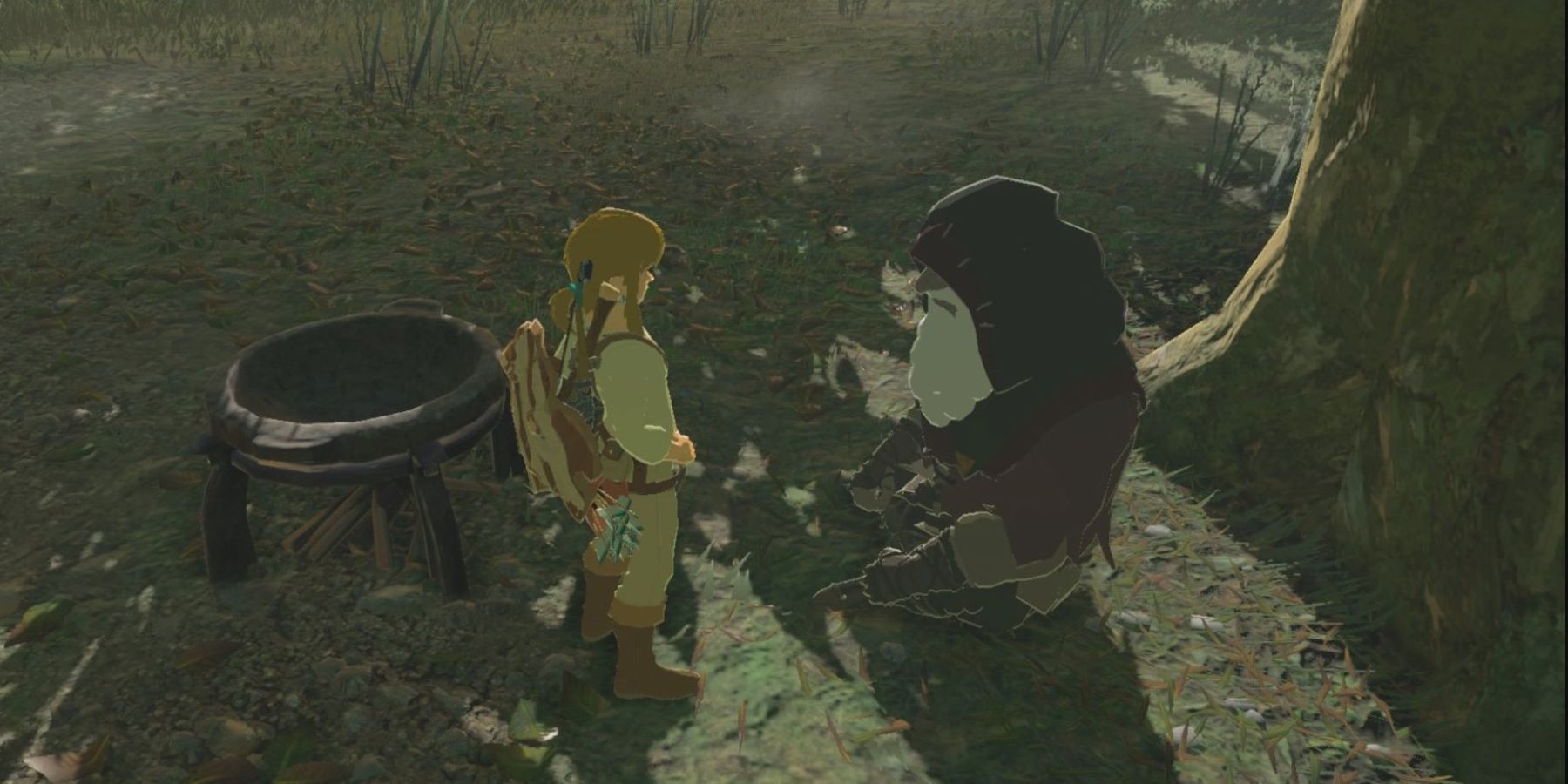 Link standing in between King Rhoam and a Cooking Pot in The Legend of Zelda: Breath of the Wild