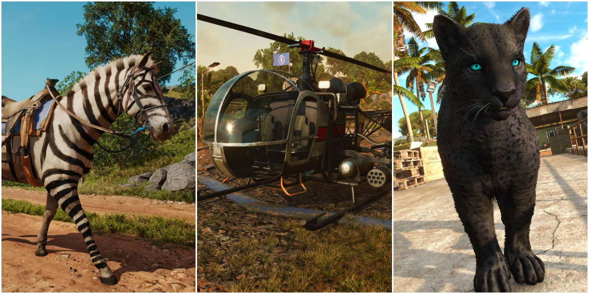 Far Cry 6 Zebra Ride Helicopter Oluso Amigo