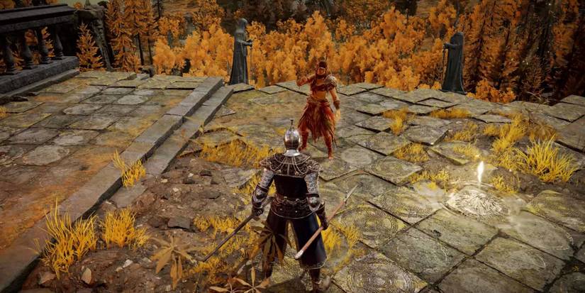 Elden Ring online multiplayer