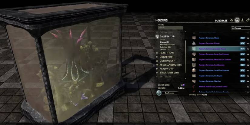 Elder Scrolls Online Deadlands Best Furniture Fargrave Terrarium