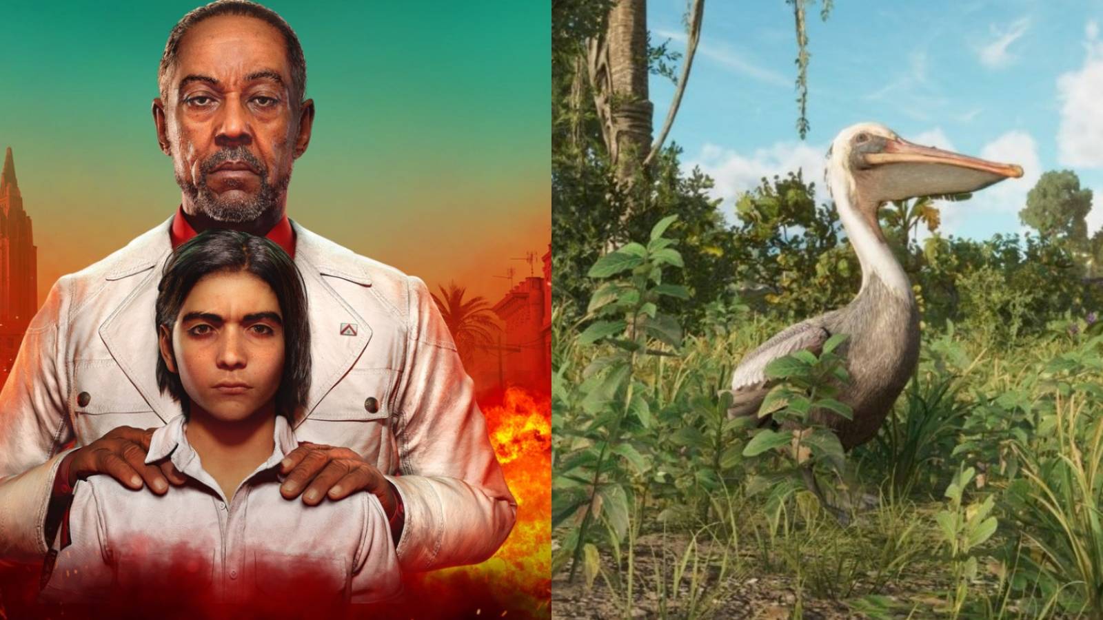 Castillo and son - Pelican 