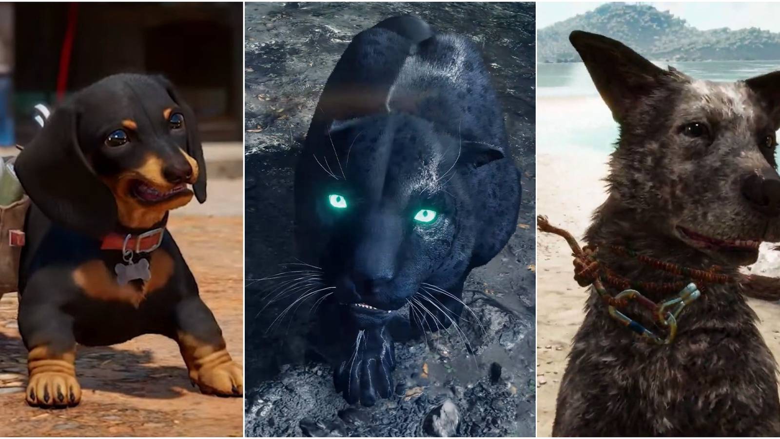 Far Cry 6 screenshots of Amigos Chorizo Oluso Boom Boom