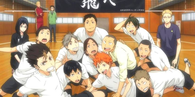 Haikyuu!! Karasuno Group Picture