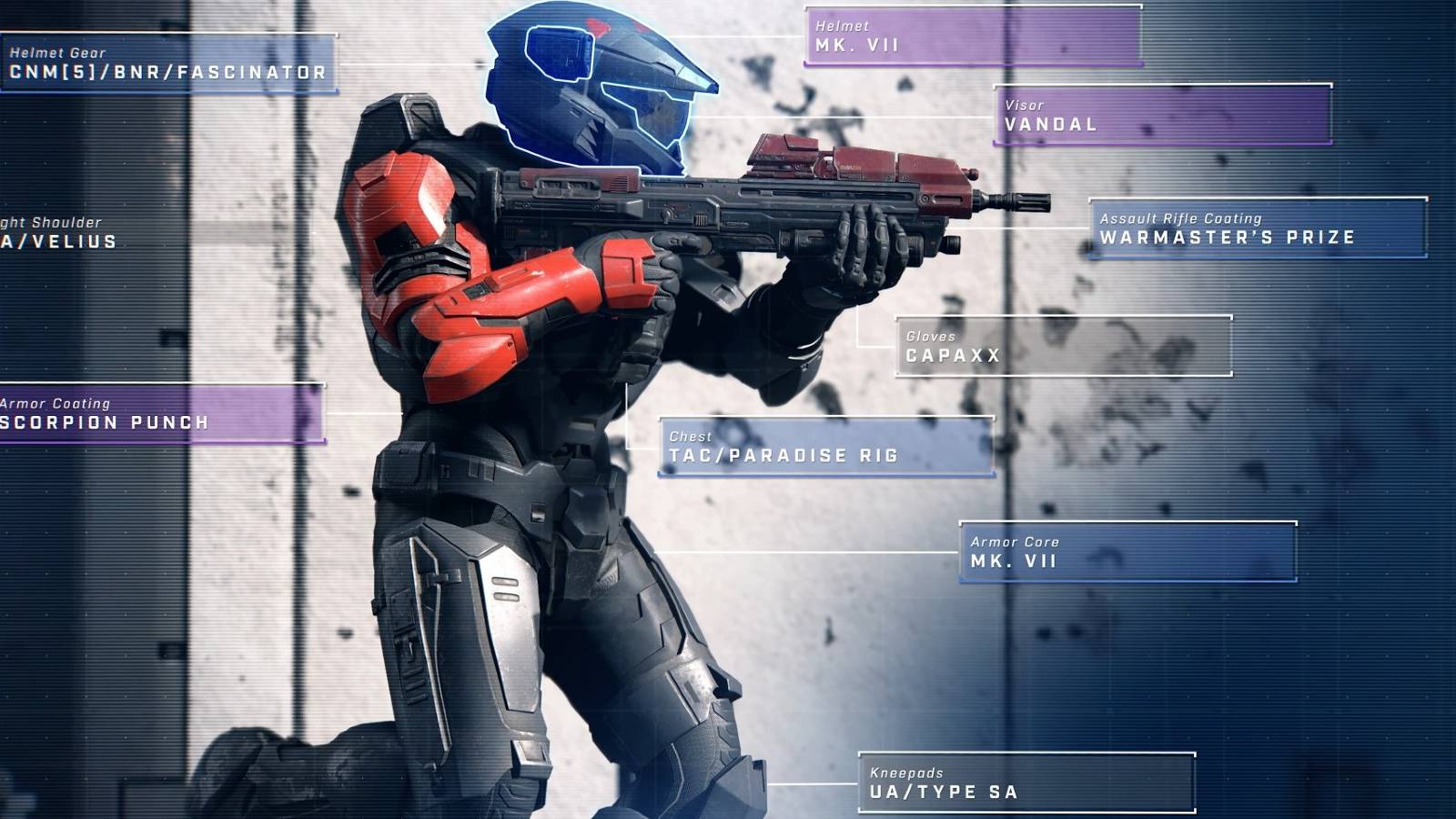 Halo Infinite Customization Options Seemingly Contradict Earlier Statements