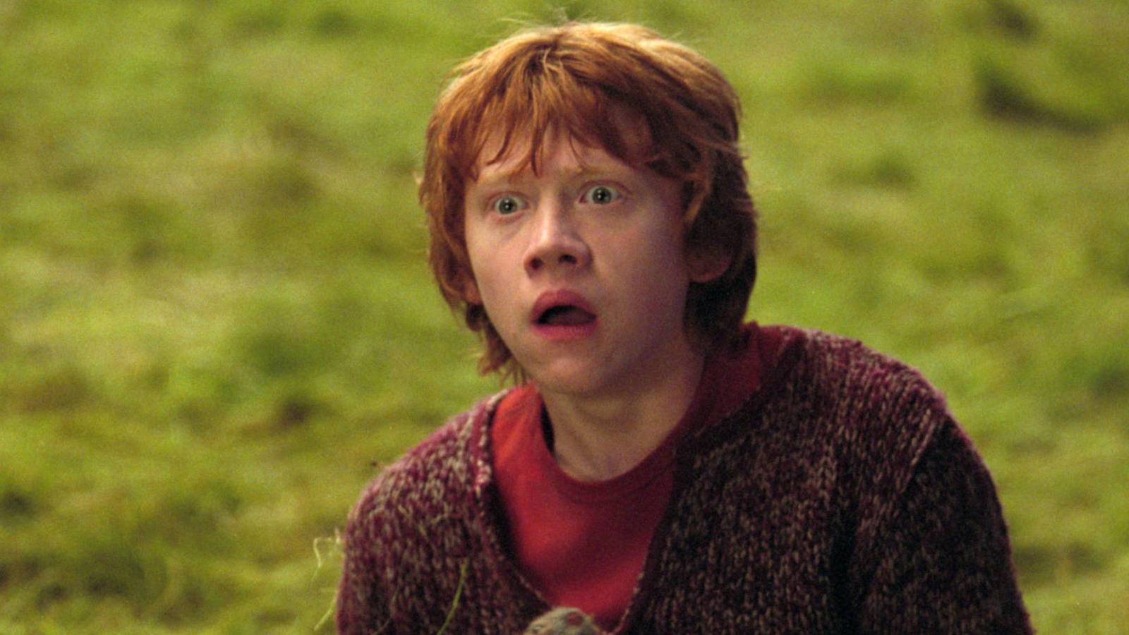 Rupert Grint Reveals The Surprising Reason He Almost Quit Harry Potter