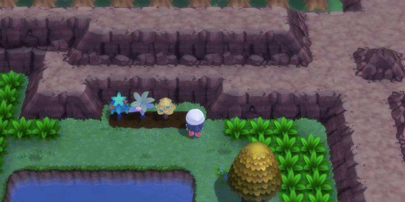 Pokemon Brilliant Diamond and Shining Pearl planting berries