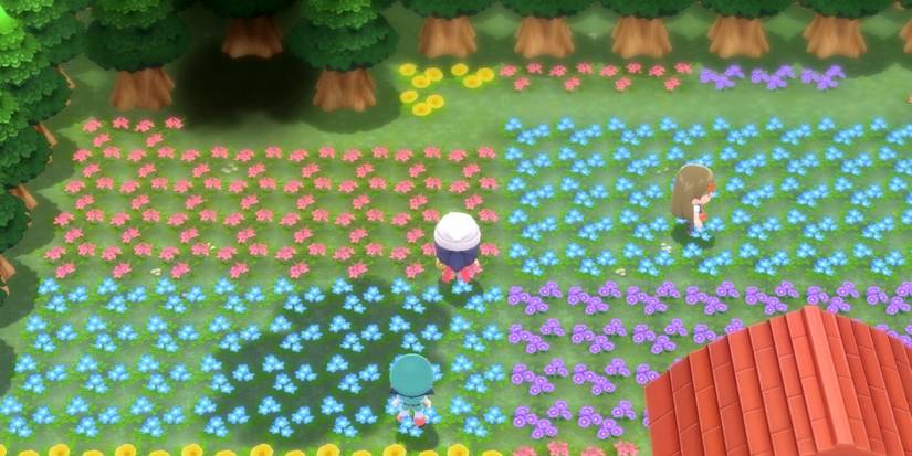 Pokemon Brilliant Diamond and Shining Pearl Floaroma Works Key Entrance