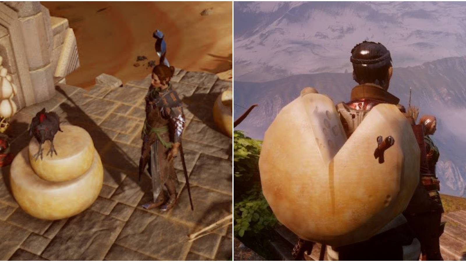 Split image of bird on cheeses and cheese shield. 