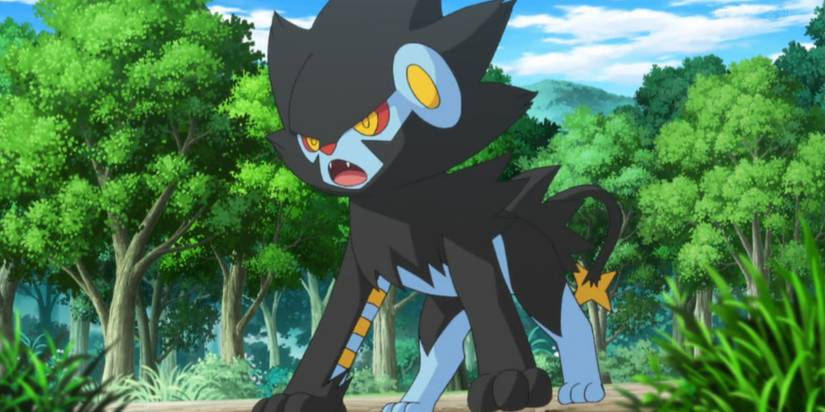 Pokemon Luxray in battle