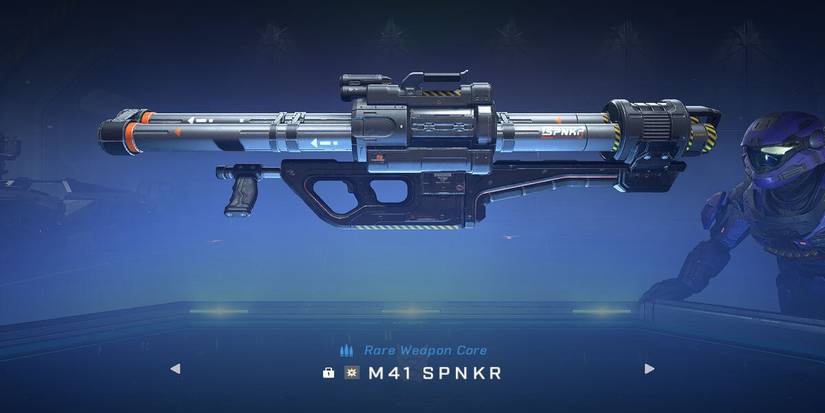 M41 SPNKR on display