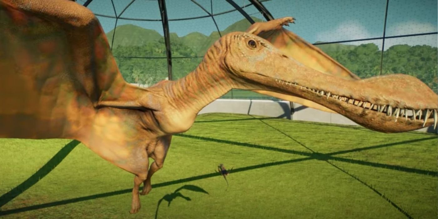 Maaradactylus Jurassic World Evolution 2