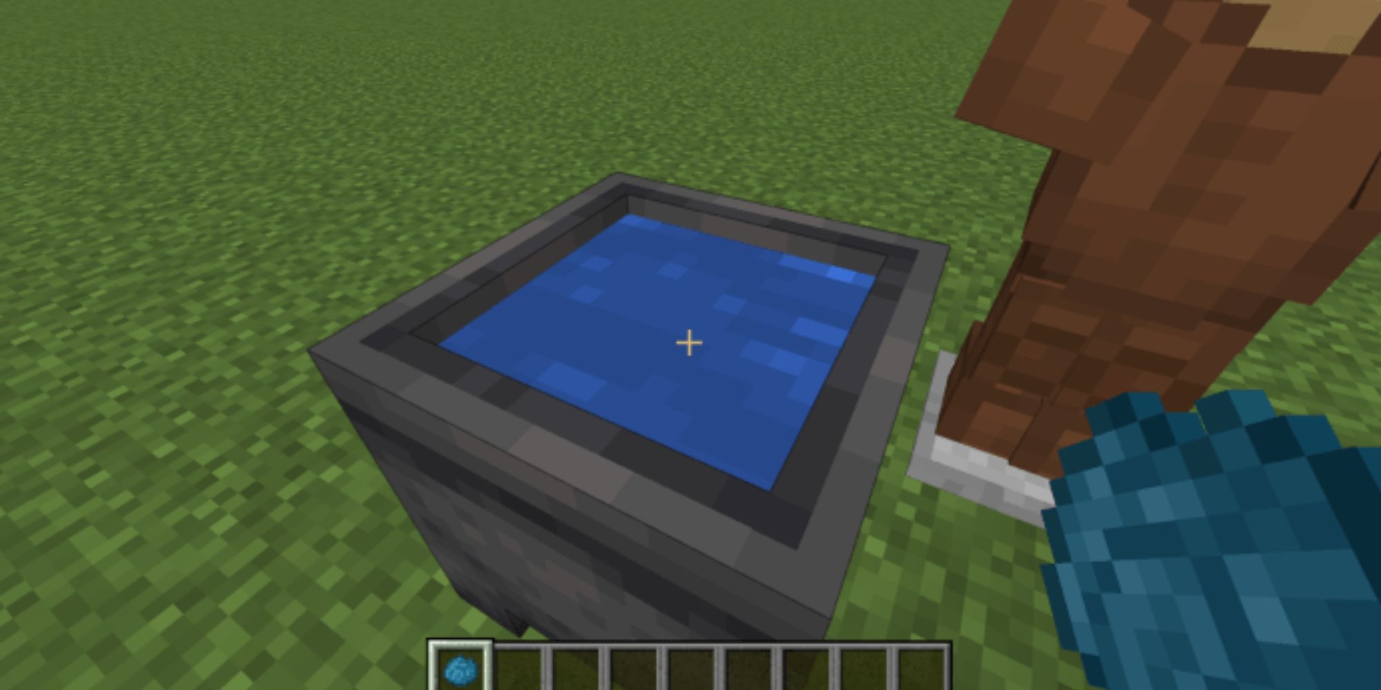 Minecraft Cauldron With Dyed Water