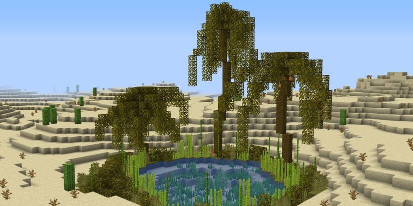 Minecraft Desert Oasis