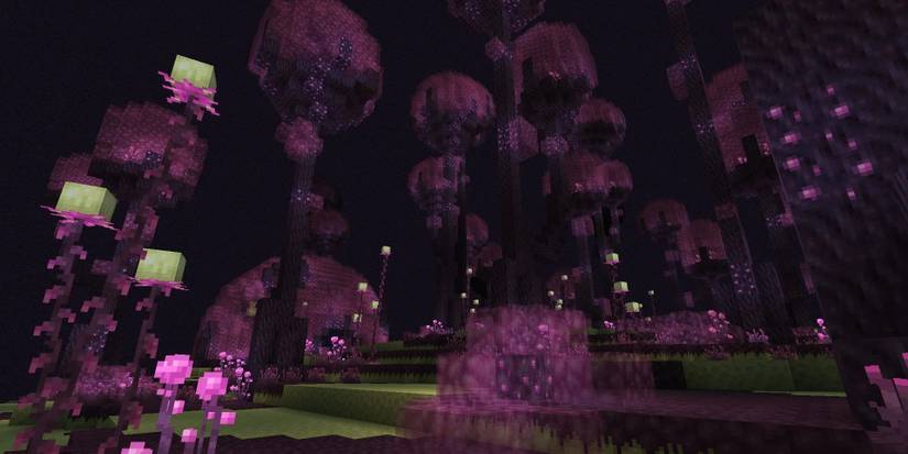 Minecraft Ender Forest