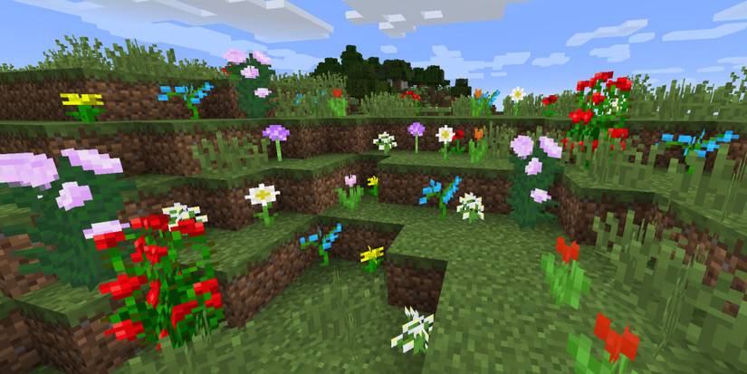 Minecraft Flowers