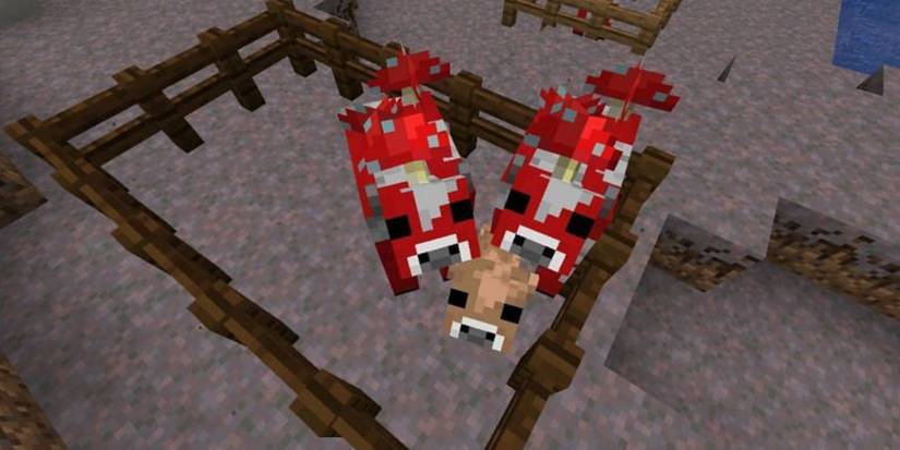 Minecraft Mushroom Stew