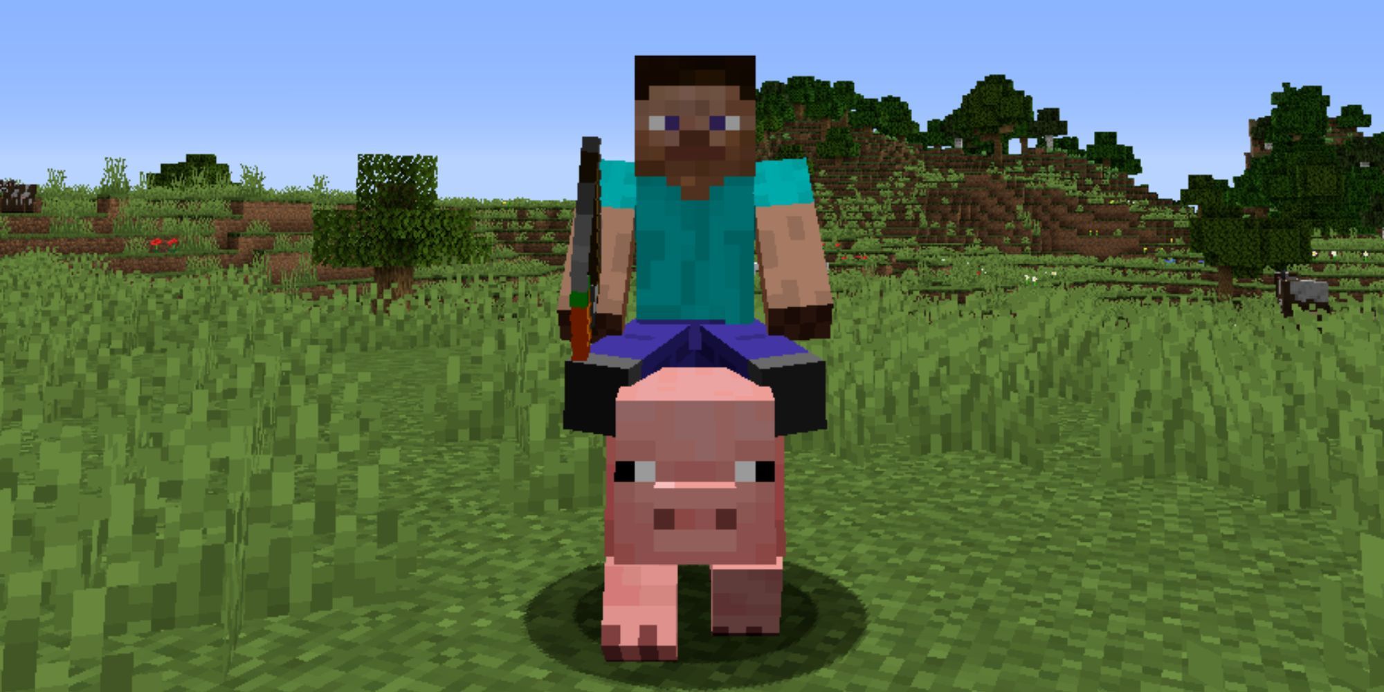 Minecraft Player On A Pig