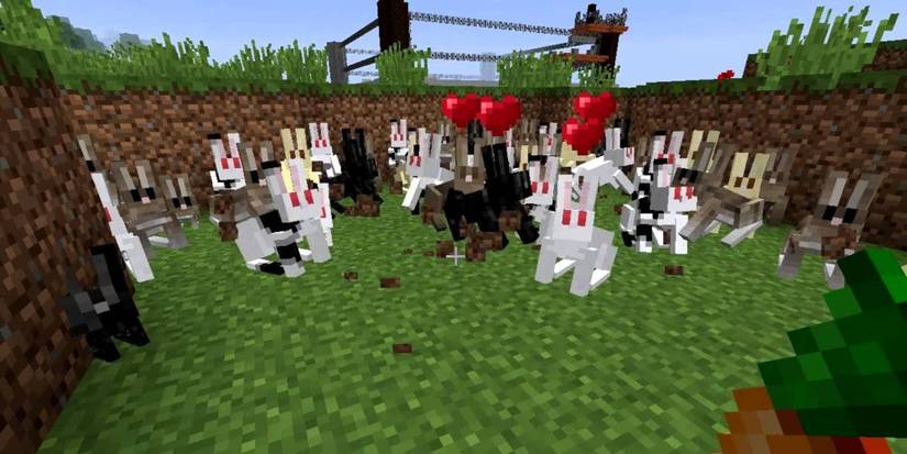Minecraft Rabbits Inside A Pen