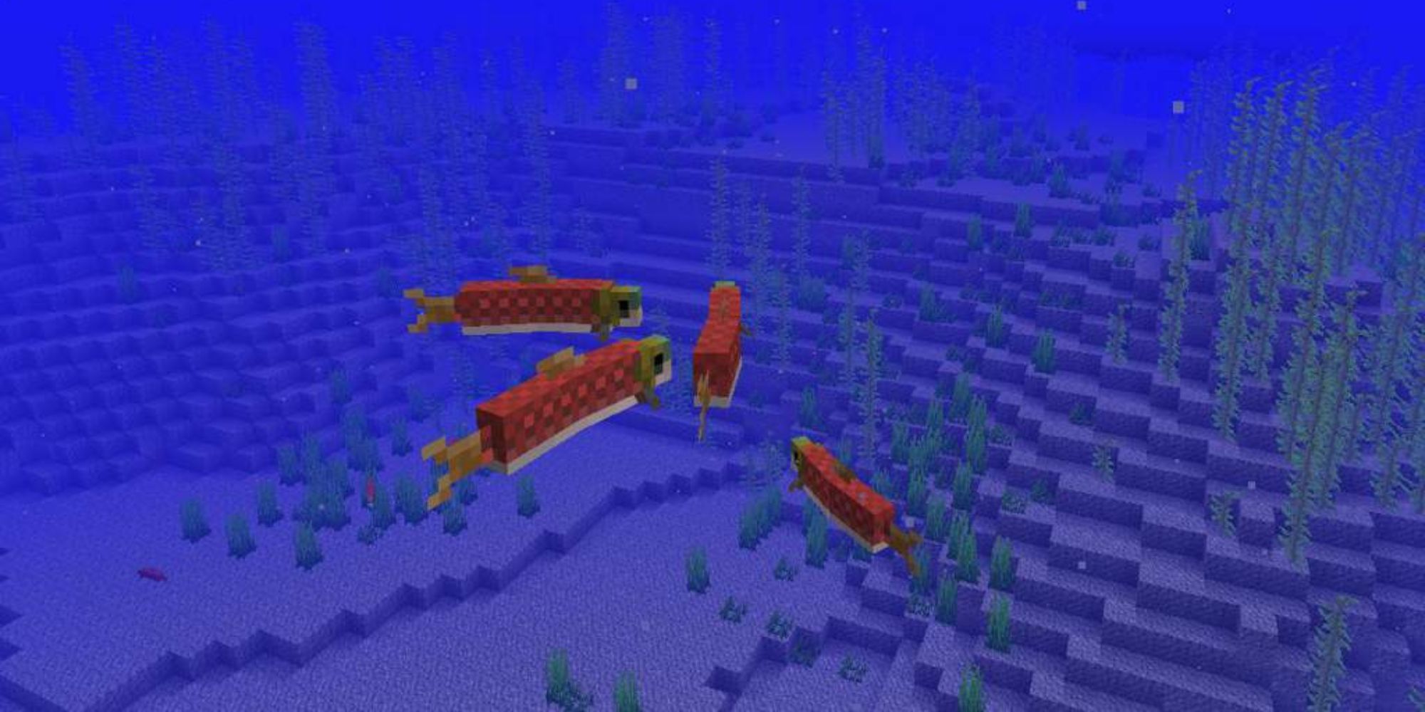 Minecraft Salmon Swimming