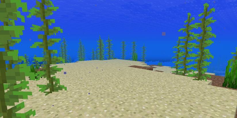The ocean floor in Minecraft