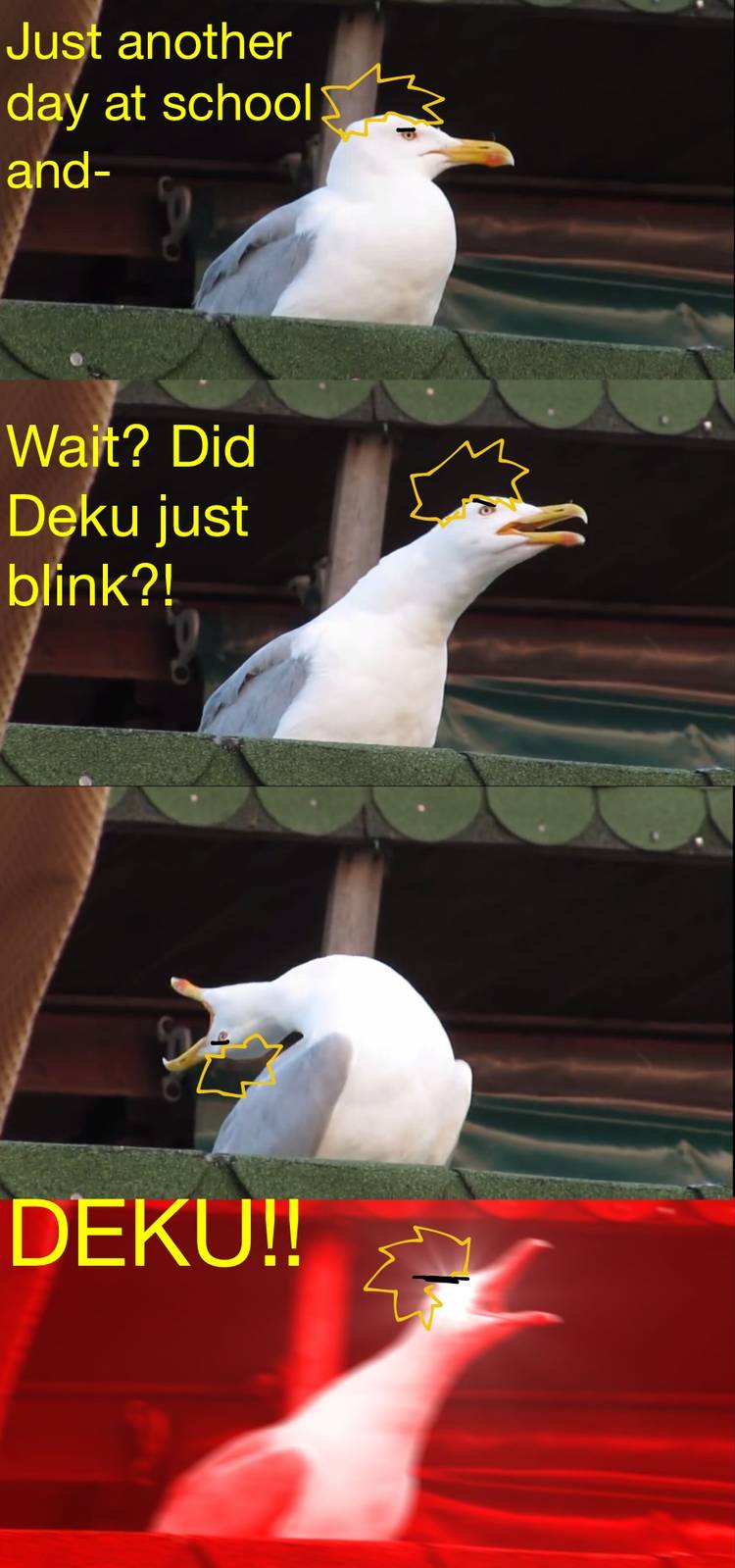 My Hero Academia bakugo angry bird meme