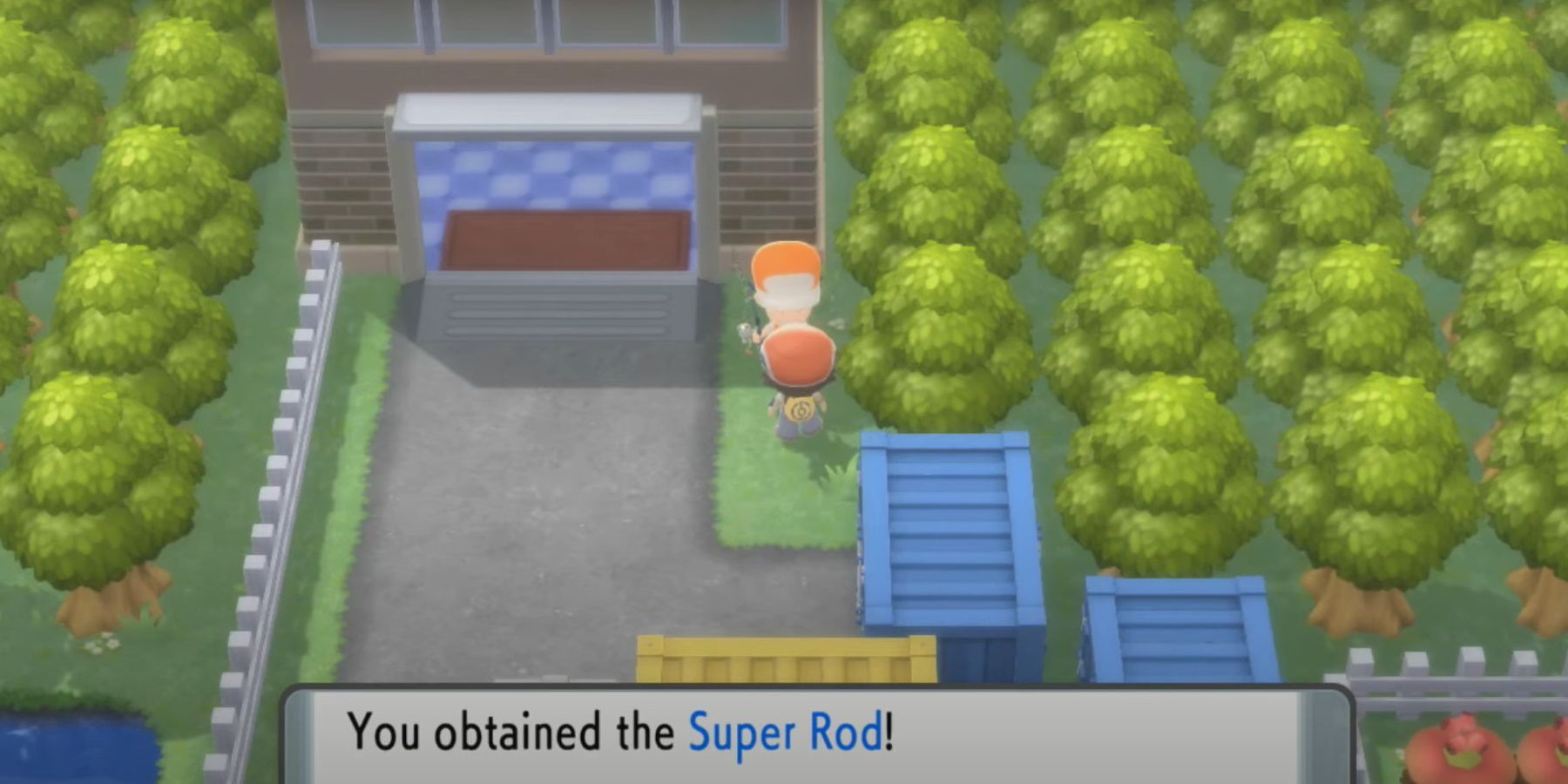 where to get a fishing rod in pokemon sweet version