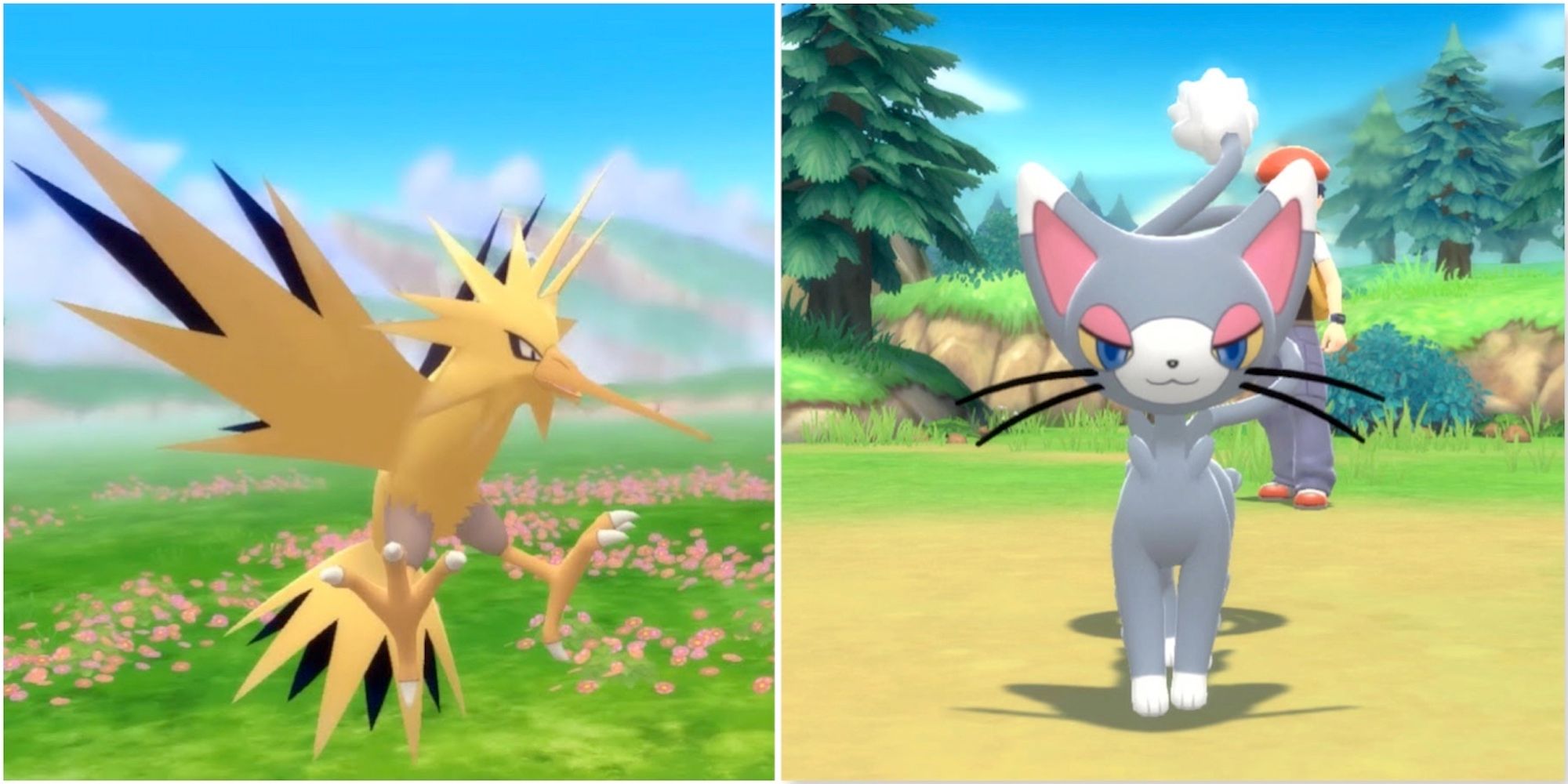 Zapdos and Glameow from Pokemon Shining Pearl 