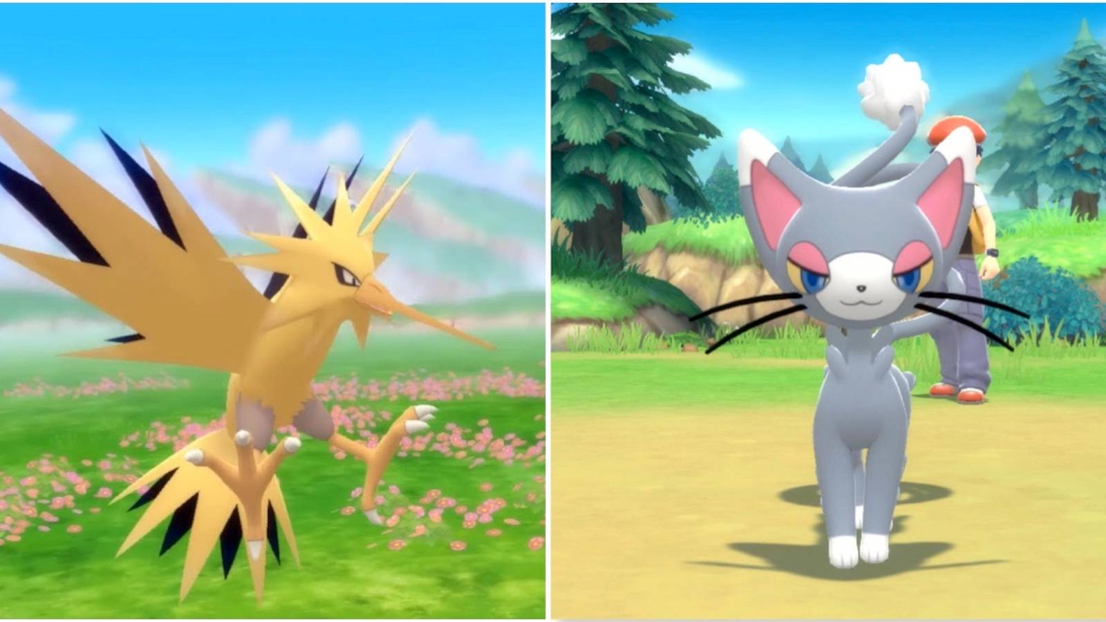 Zapdos and Glameow from Pokemon Shining Pearl 