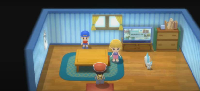 Pokemon Brilliant Diamond Shining Pearl Massage Lady