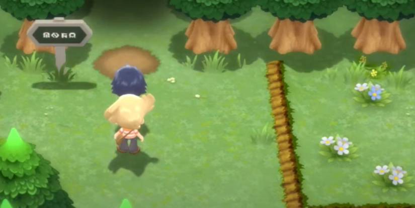 Pokemon-Brilliant-Diamond-Shining-Pearl-Shiny-Starter-2