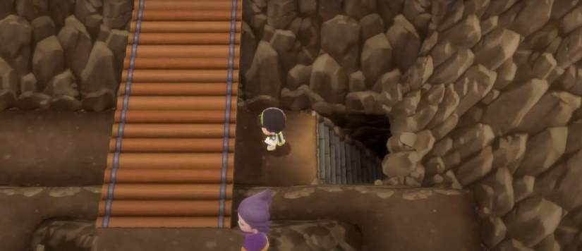 Pokemon Brilliant Diamond Shining Pearl Victory Road Final Room