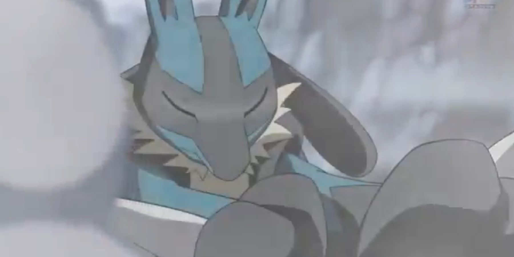 Pokemon Lucario after defeating several other Pokemon