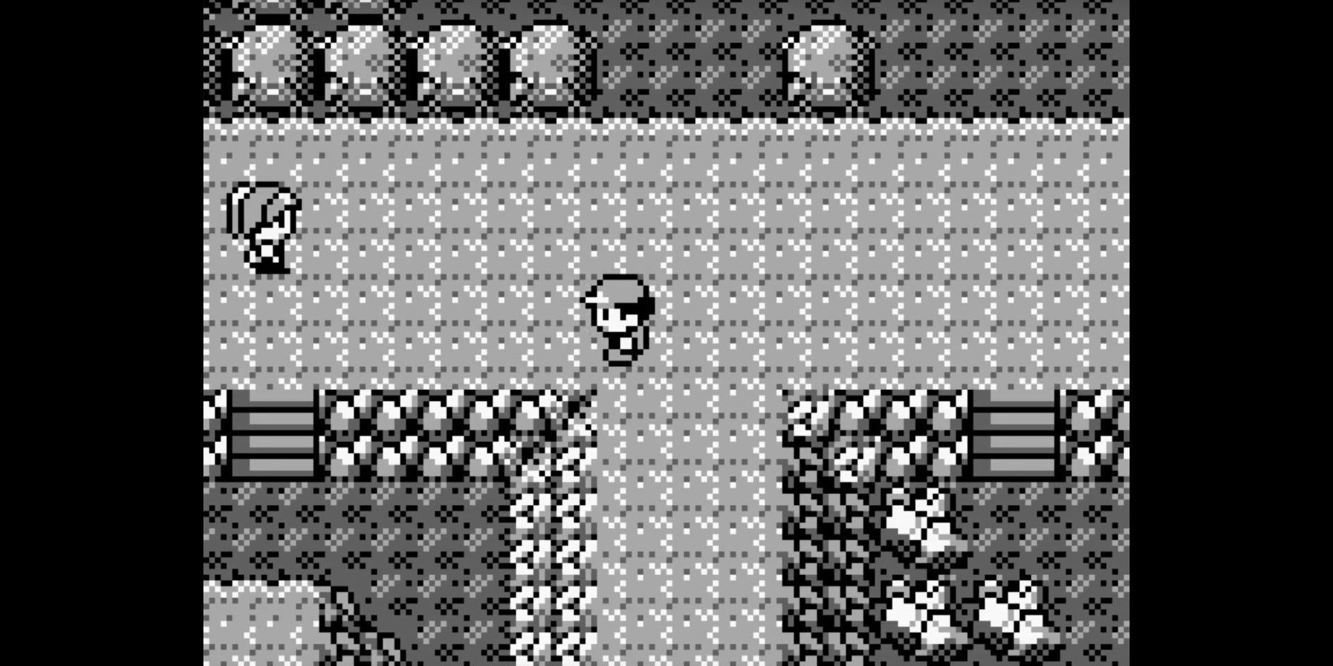 Pokemon Red Victory Road
