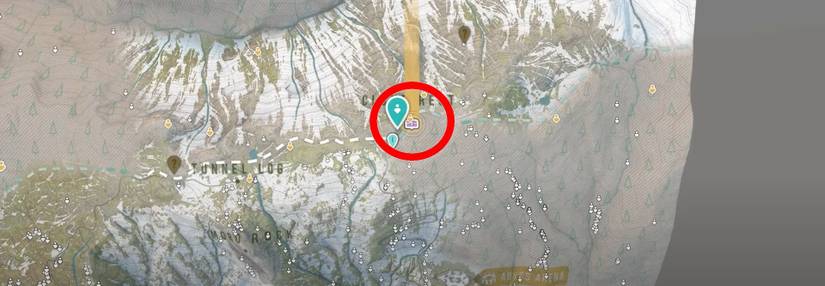 Riders Republic Plane Wing Relic