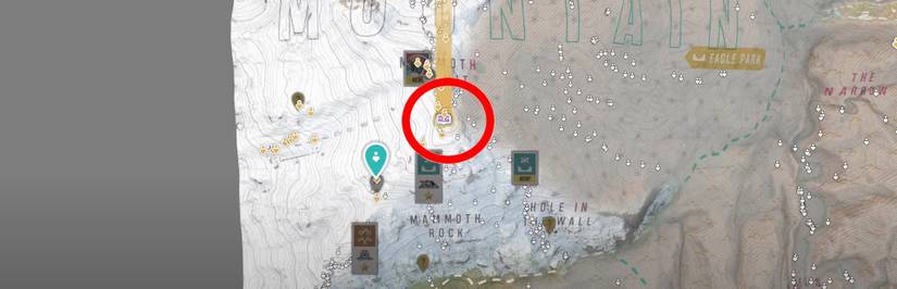 Riders Republic Wooden Skis Relic