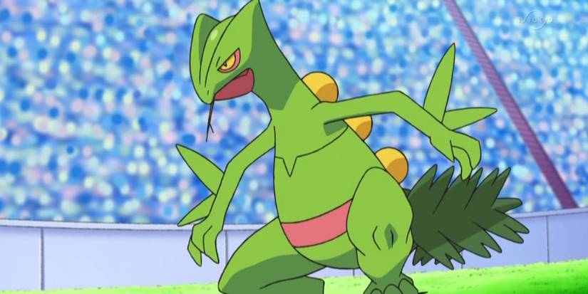 Pokemon Sceptile in battle