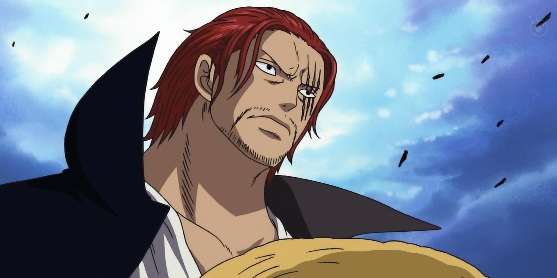 One Piece - Shanks with the Straw Hat